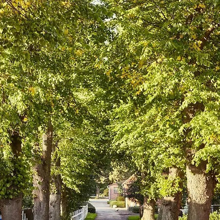 Ganseblumchen - Ferienhof Friedrichsthal